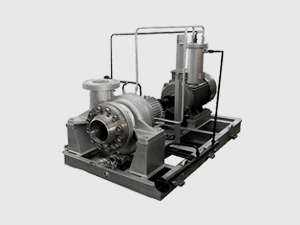 ASP5200 Hot Water Circulating Pump(OH2)