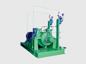 ASP5320 Heavy-duty oil chemical process pump(BB2)