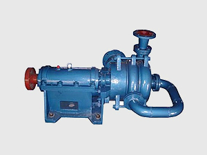 ASP1060 Pressure filter feeding pump